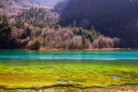 海子山九寨沟五花海子自然美景背景