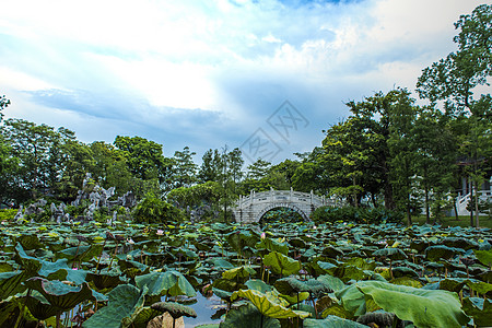 绿色城市城市中国风古石板桥自然风光背景背景