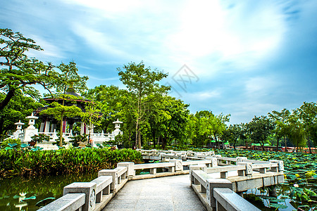 梦幻荷塘中国风古建筑石板桥背景背景