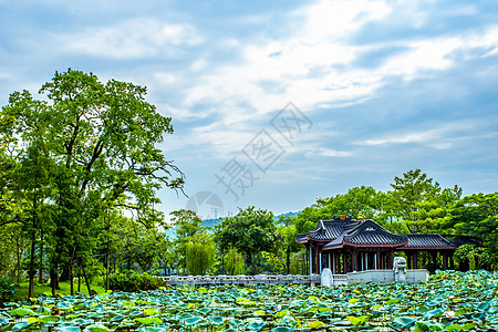 城市云城市荷塘边中国风古建筑背景背景