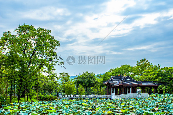 城市荷塘边中国风古建筑背景图片