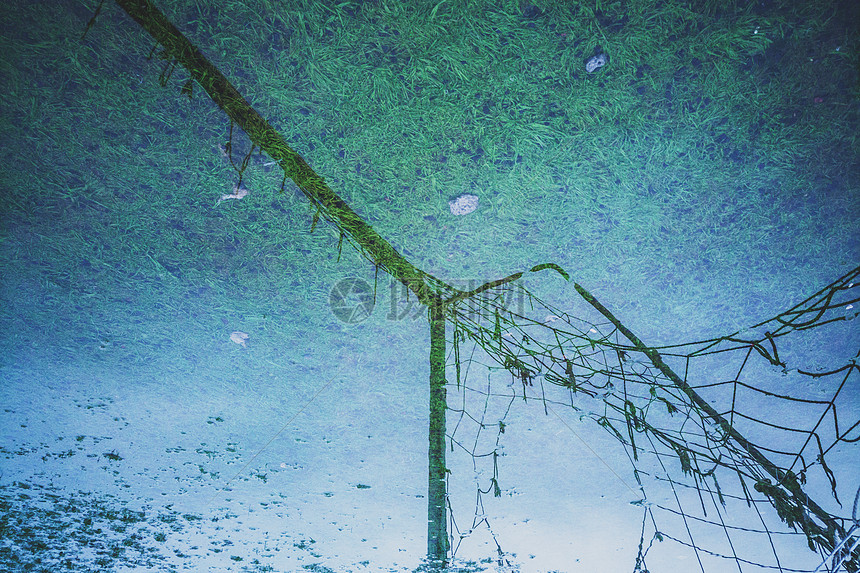 雨中倒影图片