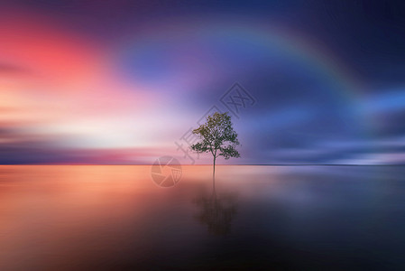 简约海报风雨后的彩虹背景