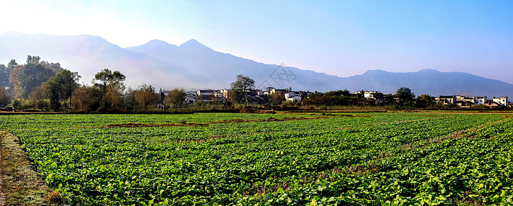 昆明南屏街安徽南屏村背景