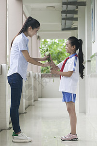 教师节女同学在学校给女老师献花图片