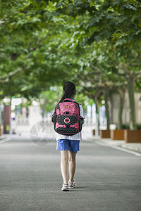 背着书包兔子女同学在学校背着书包放学了背景