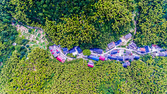 无人机喷洒航拍山林中的村庄背景