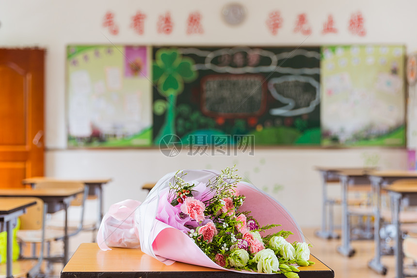 教师节花康乃馨素材图片