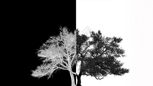 黑白创意的树背景素材高清图片