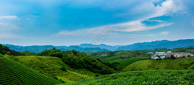 天空创意四明山茶园全景背景