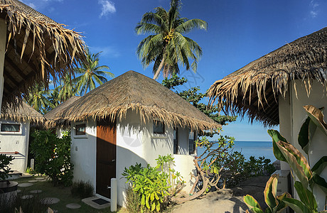 长板凳海岛上的别墅泳池背景