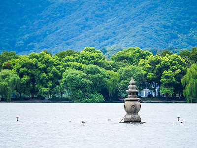 绿色景色杭州西湖景色背景