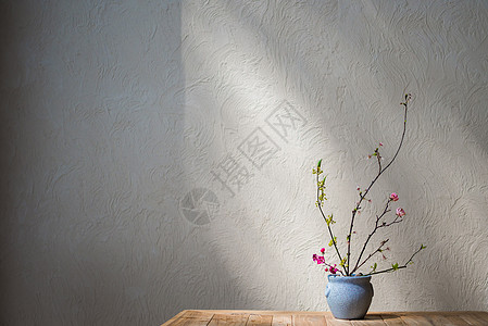 阳光照耀下的墙边的花瓶高清图片