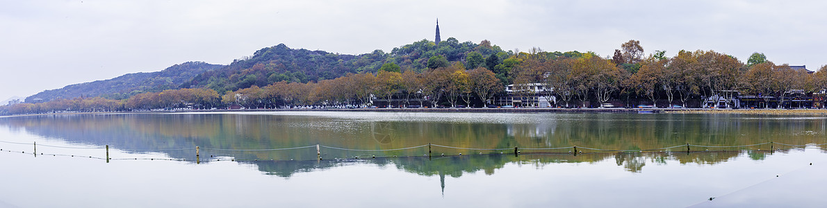 秋天街道西湖北山街秋色全景背景