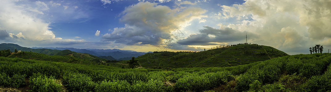 夏日夕阳下的远山全景背景图片