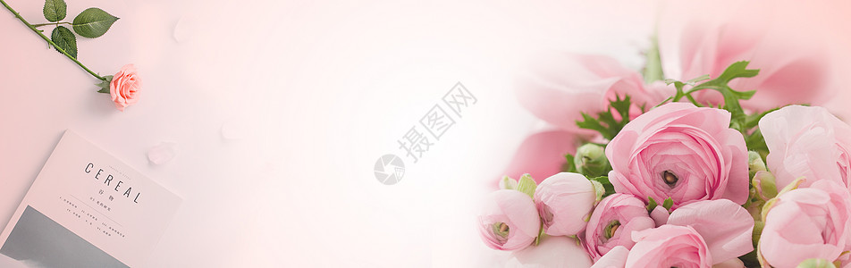 粉红背景鲜花背景设计图片