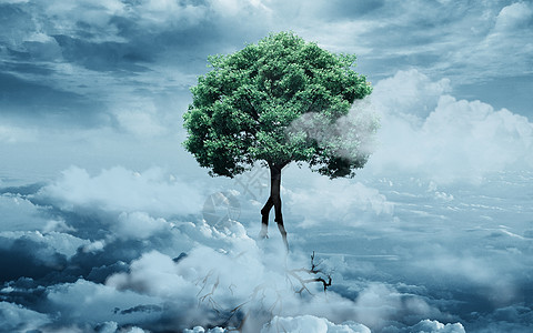 云端巨树设计图片