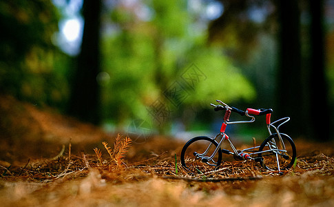 森林里的自行车图片