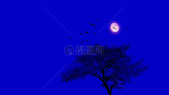 静谧的中秋月夜图片