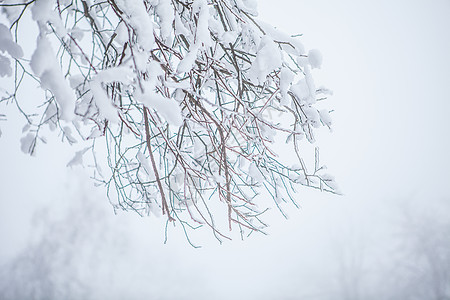 浪漫雪景雾凇雪景素材背景