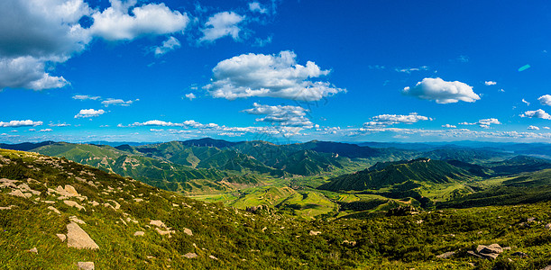 高山草甸全景图图片