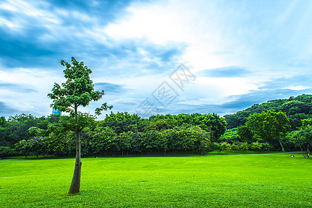 超高层建筑城市草地绿化树林云朵天际线背景