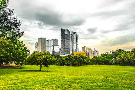 秋夏简约城市建筑绿化单色调背景图背景