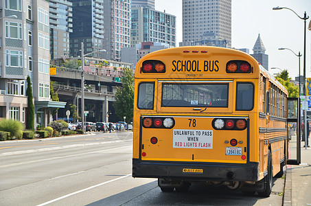 学校道路美国校车背景