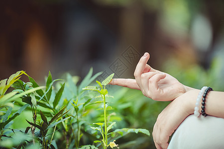 树木草地美女的手背景