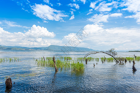 洱海日出云南大理洱海风光背景