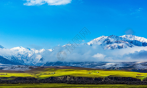 雪山云雾草地图片