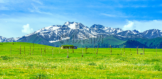 雪山草原风景图片