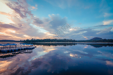 小清新湖泊湿地背景