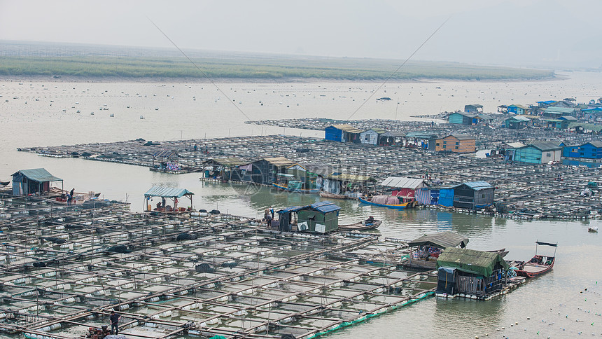 霞浦养殖基地图片