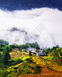 梯田风景图片