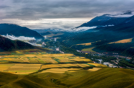 青稞田卓尔山背景