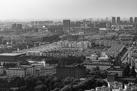 黑白楼房上海城市建筑风光黑白照背景