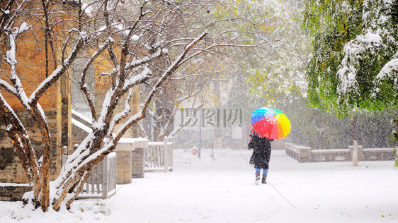 大雪纷飞的雁塔图片