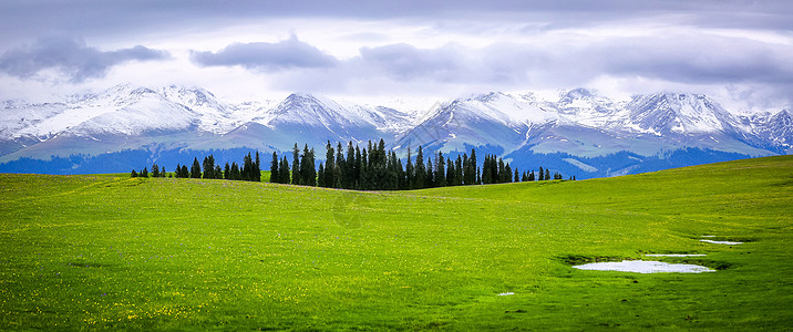 新疆雪山喀拉峻草原背景