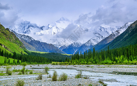 雪山森林夏特古道背景