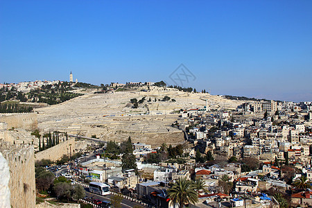 耶路撒冷橄榄山图片