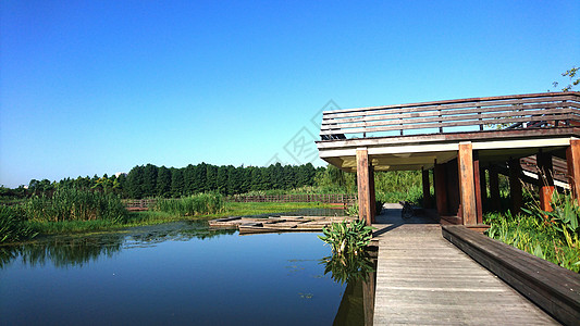 水边小屋秋高气爽的湿地公园背景