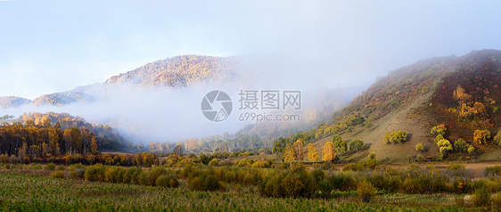 晨雾弥漫的乌兰布统山峰树林图片