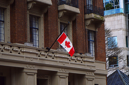 加拿大枫叶温哥华城市风光背景