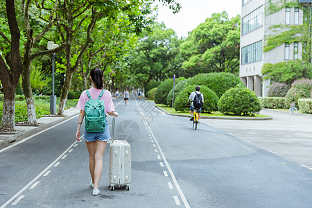 校园内女生拉旅行箱背影图片