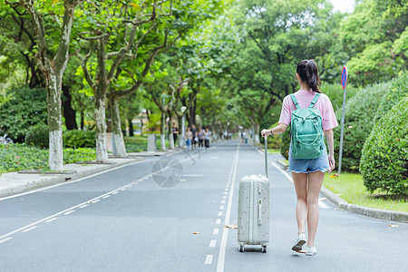 校园内女生拉旅行箱背影高清图片