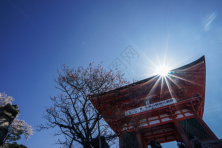 京都清水寺赏樱背景