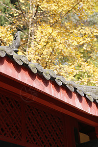 古风房屋禅意古风寺院建筑背景