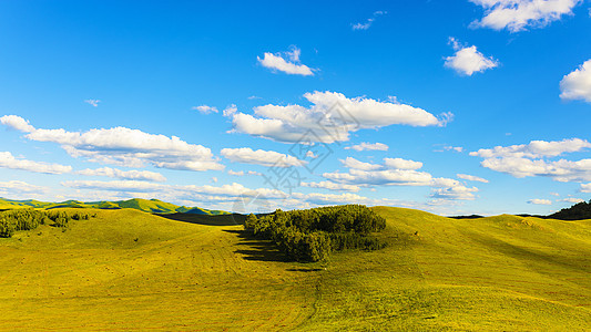 起伏的丘陵草原风光背景图片