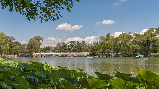 白色荷花承德避暑山庄园林美景背景